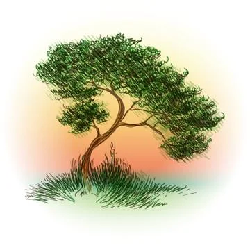Tree Drawn in Sketch Style Stock Illustration