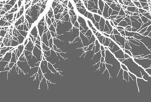 Tree dried branches and twigs silhouette. Vector Stock Illustration