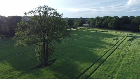 Tree Drone Circle 1080 Stock Footage 190282921