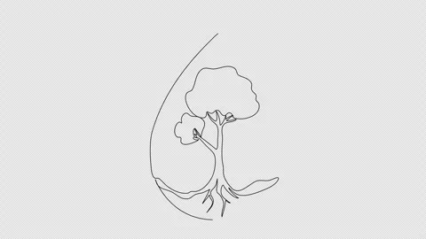 Tree in a drop of water. One line drawing animation with alpha channel. Video stock 277507481