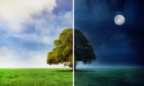Tree during day and night Ilustração Stock