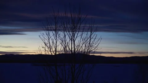 Tree at dusk against the backdrop of a winter sunset. Clouds, horizon. Stock Footage 232374032