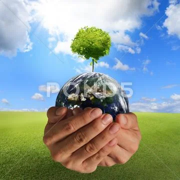 Tree on the earth Stock Illustration