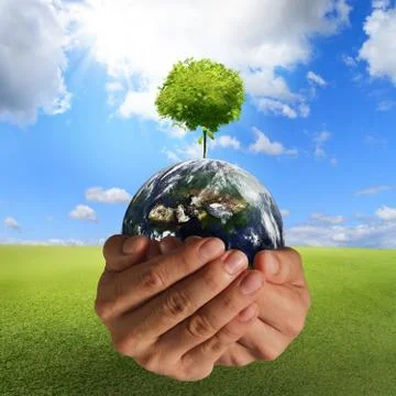 Tree on the earth Foto stock