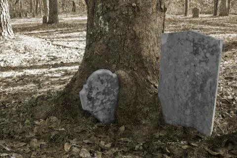 Tree eats tombstones Stock Photos