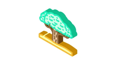 Tree eco conscious isometric icon animation Stock Footage 327277533