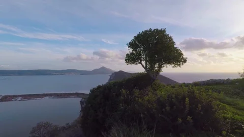 Tree on edge of cliff 스톡 동영상 106338567