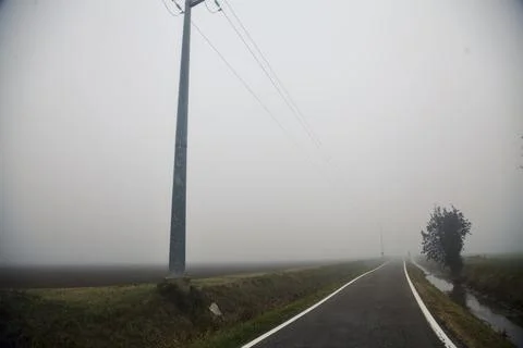 Tree by the edge of an irrigation channel next to a country road on a foggy.. Stock Photos
