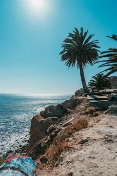 A tree on the edge Stock Photos