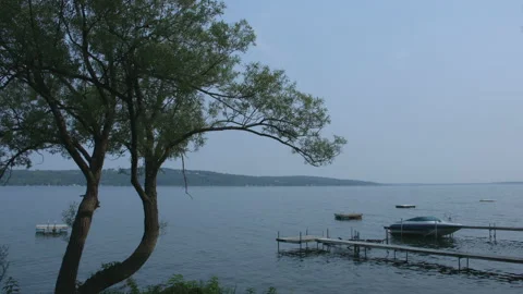 Tree By The Edge Of The Water Video stock 138333588