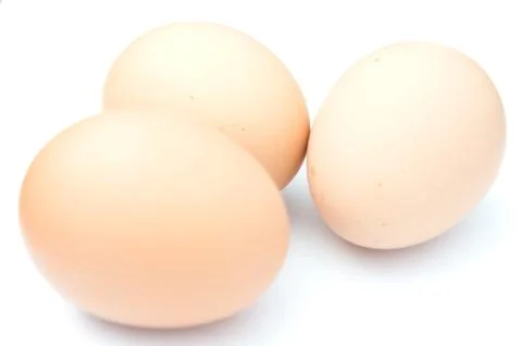 Tree egg 스톡 사진