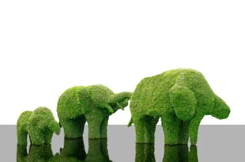 Tree elephant shape Stock Photos