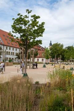 Tree in Erfurt the Capital of Thuringia Stock Photos