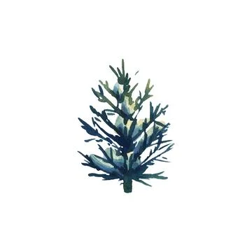 Tree evergreen fir with spreading branches on which lies white snow. Winter Stock Illustration