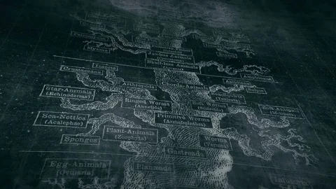 Tree of Evolution Stock Footage 123432200