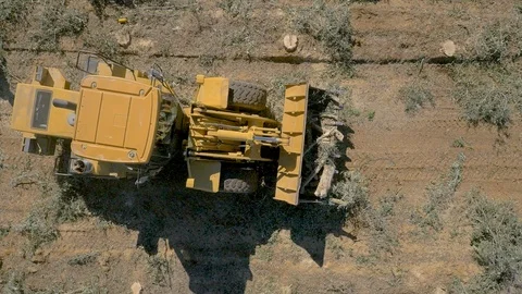 Tree excavator in the middle of a destroyed forest. Yellow bulldozer Stock Footage 125293368