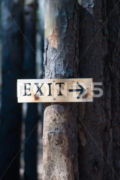 Tree exit sign Stock Photos