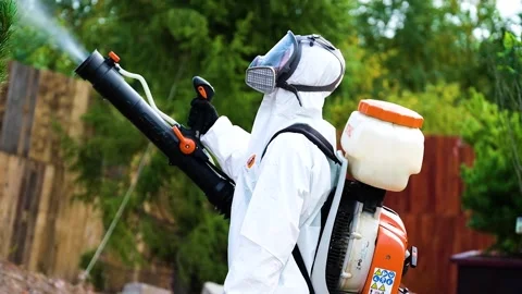 Tree extermination Stock Footage 147499549