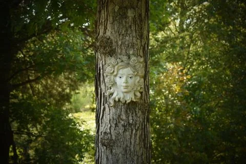 Tree face Stock Photos