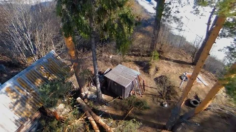 Tree fall aerial view Stock Footage 97410144
