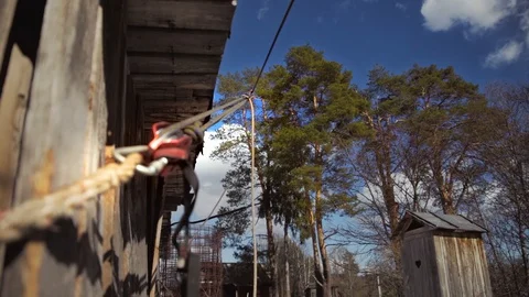 Tree fall to the ground using a rope system Stock Footage 97408542