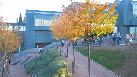 Tree In Fall With People Walking By Stock Footage 95299272