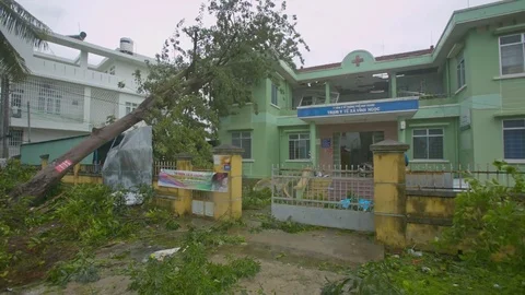 Tree Fallen on Hospital Building As Consequences after Hurricane 库存影片 82169311