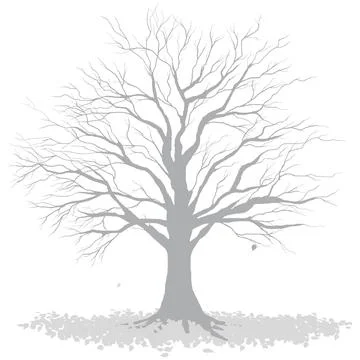 The tree with fallen leaves.Monochrome vector illustration. Stock Illustration