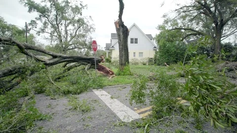 Tree fallen in the street after Hurricane Irma Stock Footage 80340021