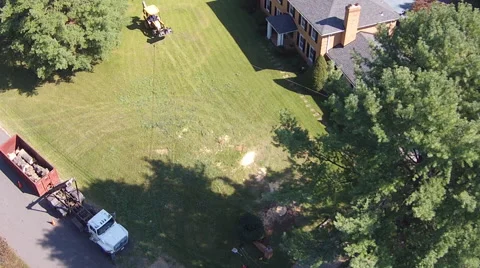 Tree Falling - Aerial 動画素材 42429708