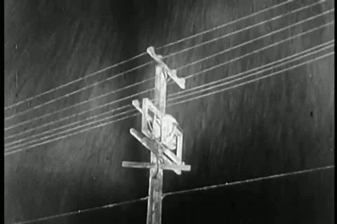 Tree falling on power transmission cable during thunderstorm Video stock 11354088