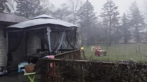 Tree Falls During Spring Storm in Southeast Michigan, Flint, Michigan, USA - 30  Stock Footage 305793008