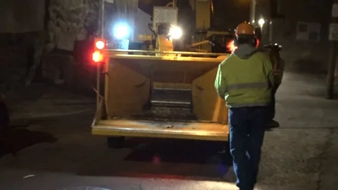 Tree Fell on Car Stock Footage 106832875