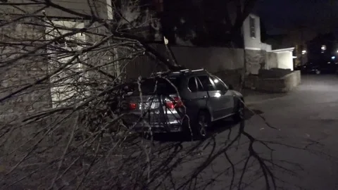 Tree Fell on Car Stock Footage 106832880