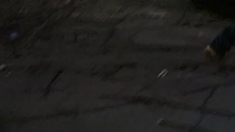 Tree Fell on Car Stock Footage 106832919