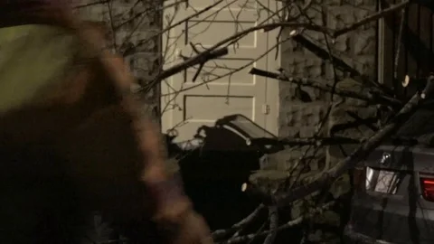 Tree Fell on Car Stock Footage 106832936