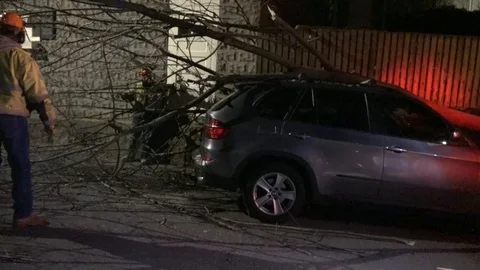 Tree Fell on Car Stock Footage 106832943