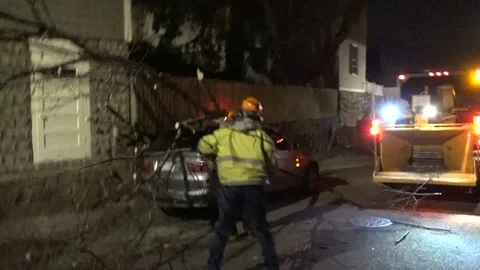 Tree Fell on Car Stock Footage 106832945