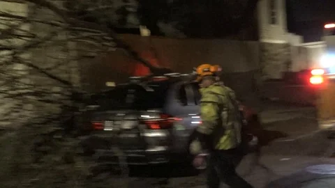 Tree Fell on Car Stock Footage 106833033