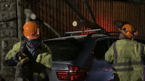 Tree Fell on Car Stock Footage 106833077