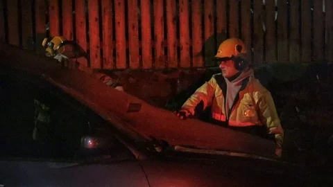 Tree Fell on Car Stock Footage 106833111