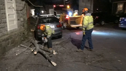 Tree Fell on Car Stock Footage 106833140