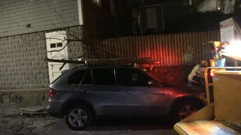 Tree Fell on Car Stock Footage 106833200