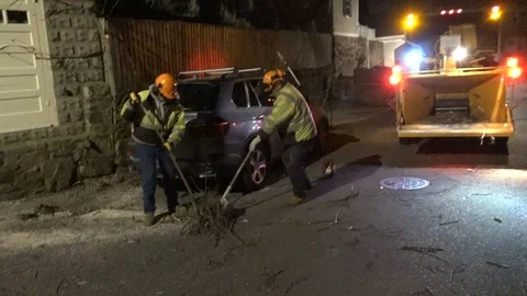 Tree Fell on Car Stock Footage 106833223