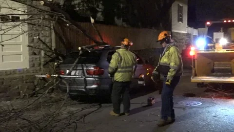 Tree Fell on Car Stock Footage 106833242