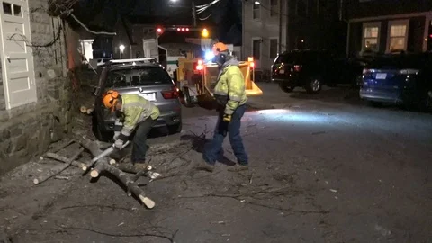 Tree Fell on Car Stock Footage 106833248