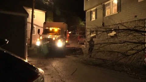 Tree Fell on Car Stock Footage 107016414