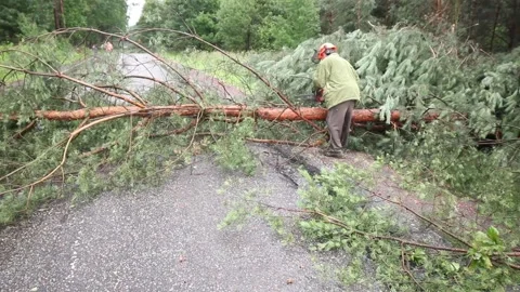 The tree fell on the road. A man is cutting a tree. Stock Footage 89454372