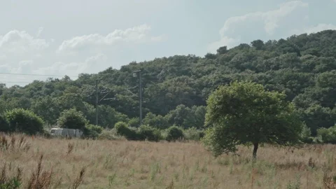 Tree in a Field above a Hill Stock Footage 105256589