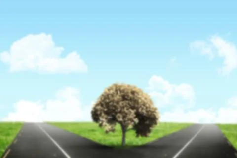 Tree on field in center of forked road Ilustração Stock